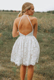 A-Line Ivory Lace Halter Neckline  Ivory Homecoming Dress,DH161-Daisybridals